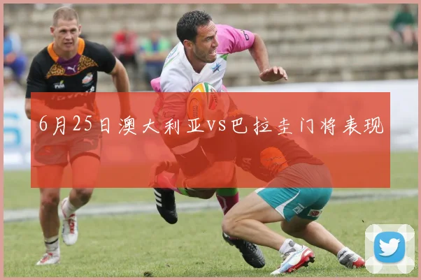 6月25日澳大利亚vs巴拉圭门将表现