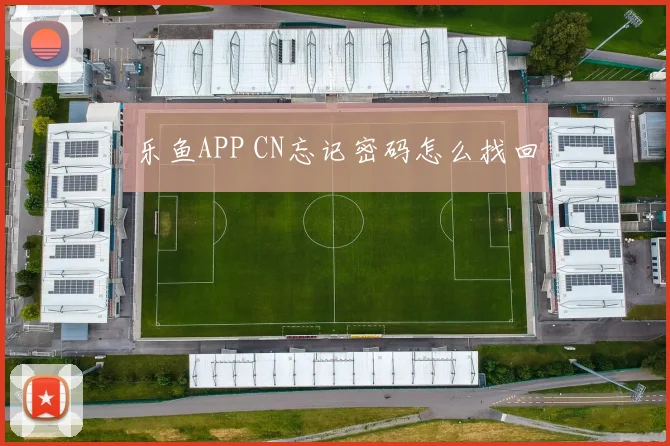 乐鱼APP CN忘记密码怎么找回