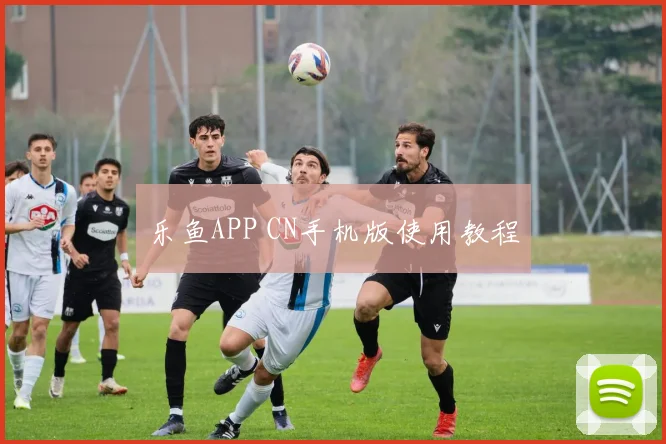 乐鱼APP CN手机版使用教程