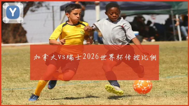 加拿大vs瑞士2026世界杯传控比例