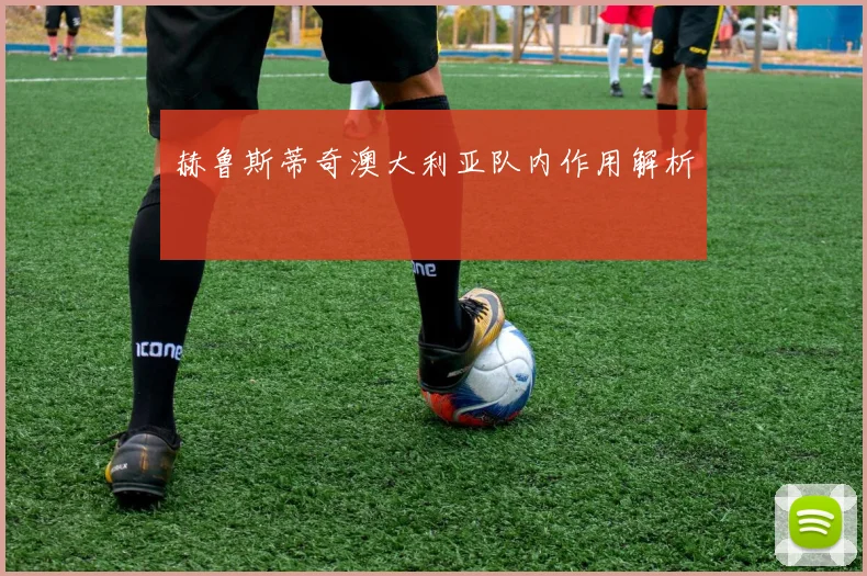 赫鲁斯蒂奇澳大利亚队内作用解析
