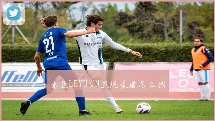 乐鱼LEYU CN正规渠道怎么找