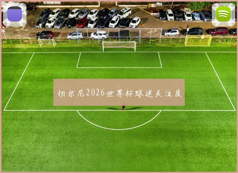 切尔尼2026世界杯球迷关注度