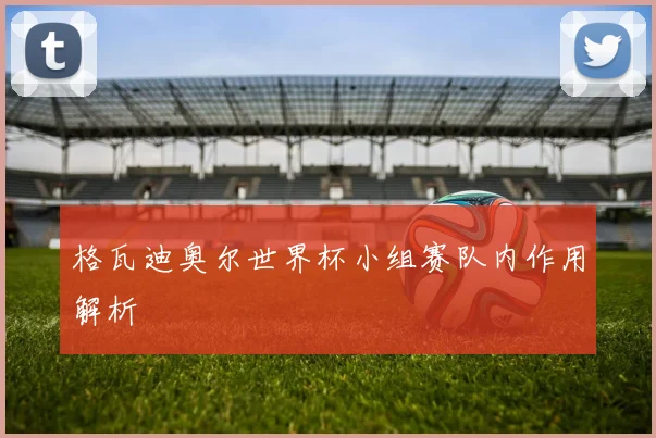 格瓦迪奥尔世界杯小组赛队内作用解析