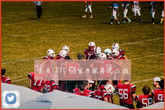 乐鱼LEYU CN官方服务怎么找